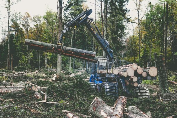 Skogsmaskin från Rottne som använder ett Fogmakersystem