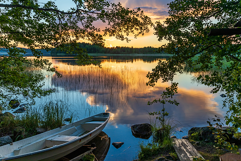 Summer greeting image